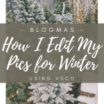 How I edit my pics for winter cover image